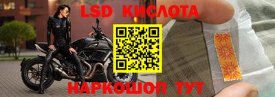 мдма Кингисепп