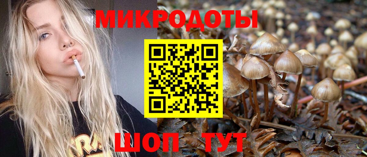 Псилоцибиновые грибы прущие грибы  Вход с VPN  цены наркотик  Краснознаменск  Галлюциногенные грибы Psilocybe 